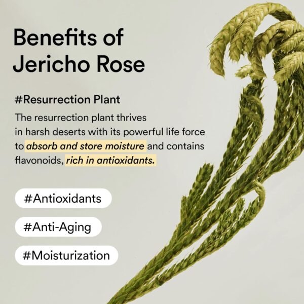 Abib Collagen Eye Crème Jericho Rose - Image 4