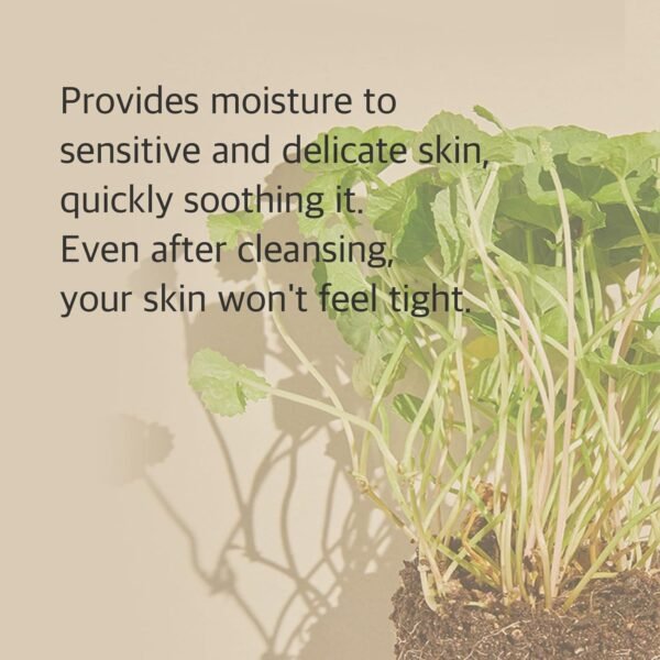 mixsoon Centella Cleansing Foam - Image 4